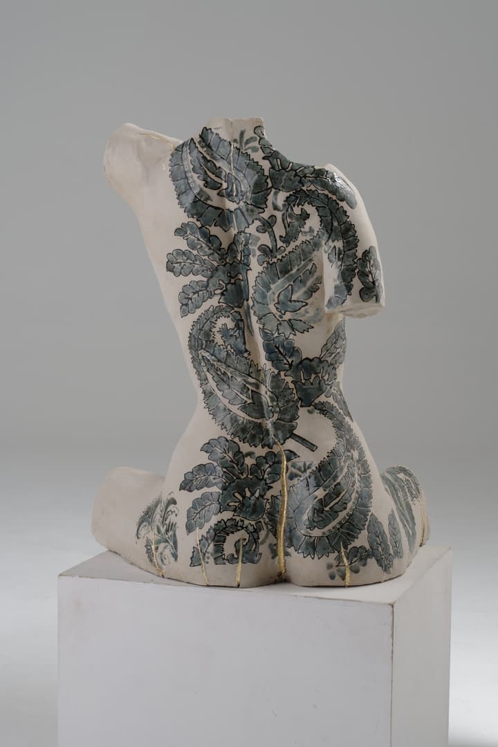 torso